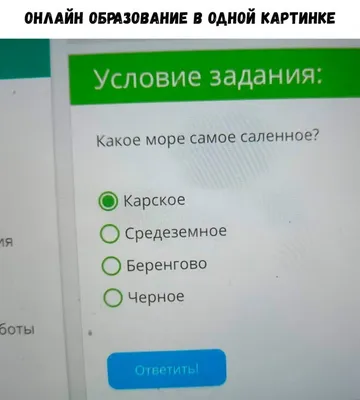 20 СМС от людей, которые могут поднять настроение на весь день / AdMe