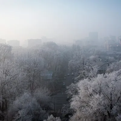 Погода в Феврале в Нью-Йорке — Нью Йорк Гид