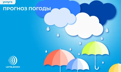 Как установить значок приложения Google Погоды на рабочий стол любого  смартфона. | Power Device | Дзен