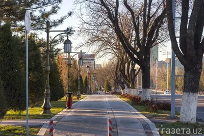 Какой будет погода в Москве на предстоящих выходных