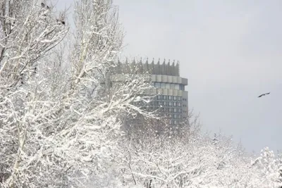 Погода в Беларуси на 3 дня: похолодание до -8°С, пасмурно