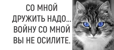 Пока не наступит ночь, 2000 — описание, интересные факты — Кинопоиск