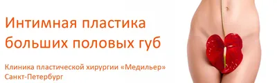 Интимная контурная пластика – увеличение половых губ в Санкт-Петербурге |  Клиника \"Отражение\"