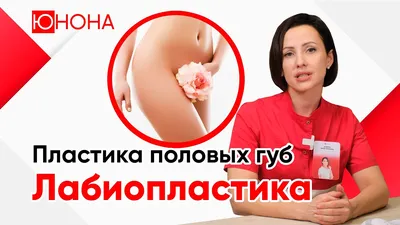 Ниппель для половых губ, клипа, зажимы для клитора, бондажный комплект БДСМ  игр для взрослых, Стимулятор точки G, массаж, интимные игрушки для женщин  18 + | AliExpress