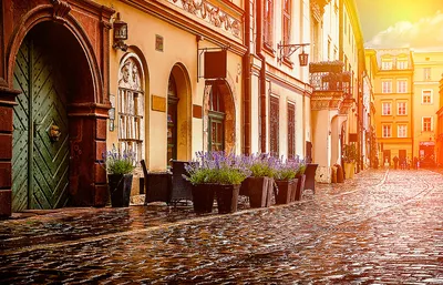 Польша - достопримечательности, отдых, культурные особенности, штрафы и  запреты, праздники, досуг, кухня, шопинг