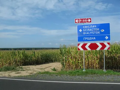 Что и на какую сумму купила Польша у Беларуси в 2023 году? — Блог Гродно s13