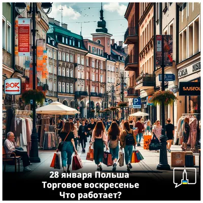 Украина будет огребать». Польша идет на исторические выборы - Газета.Ru