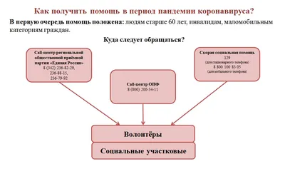 В Таллинне многим одиноким пожилым людям предложат дополнительную помощь -  Delfi RUS