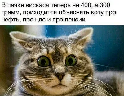 Набор инструментов при депрессии. Как быстро поднять настроение, повысить  мотивацию и улучшить самоч | Корб Алекс, Кнаус Уильям Дж. - купить с  доставкой по выгодным ценам в интернет-магазине OZON (1319136835)