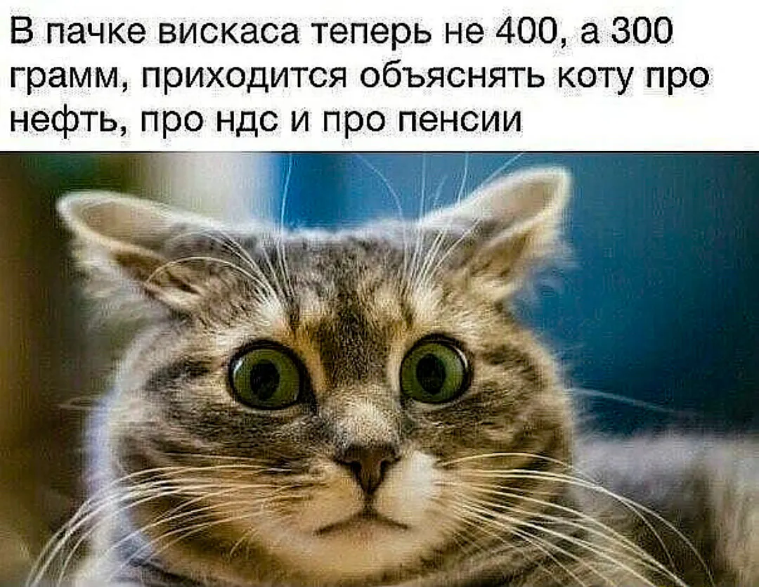 Набор инструментов при депрессии. Как быстро поднять настроение, повысить мотивацию и улучшить самоч | Корб Алекс, Кнаус Уильям Дж. - купить с доставкой по выгодным ценам в интернет-магазине OZON (1319136835) Набор инструментов при депрессии. Как быстро поднять настроение, повысить мотивацию и улучшить самоч | Корб Алекс, Кнаус Уильям Дж. - купить с доставкой по выгодным ценам в интернет-магазине OZON (1319136835)