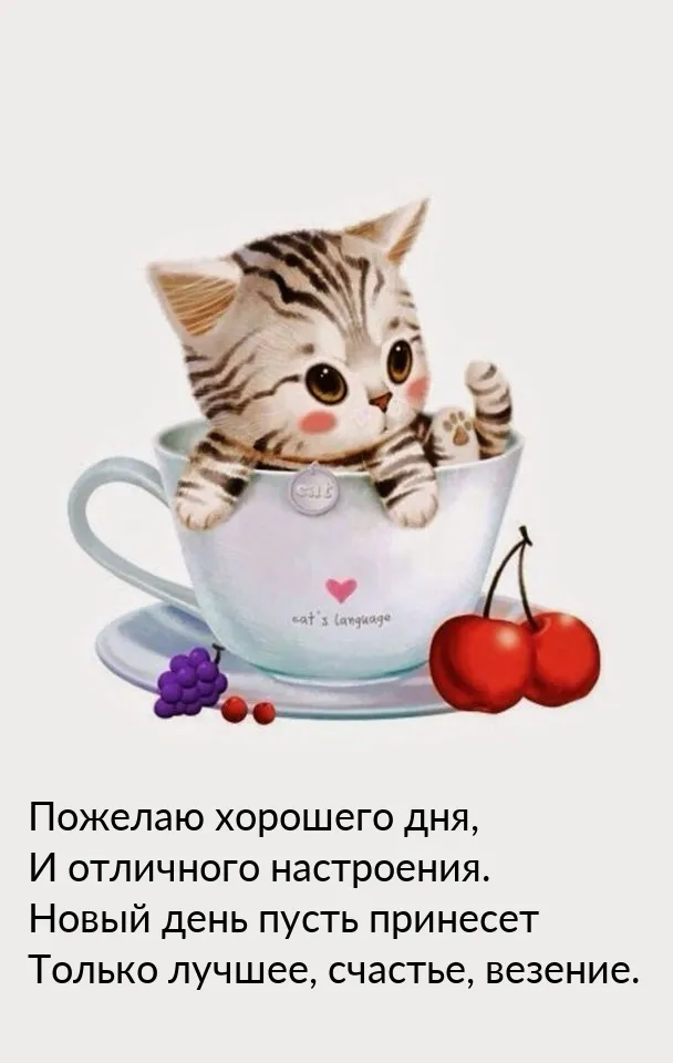 Пин на доске психология Пин на доске психология