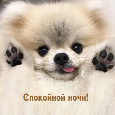 Самый простой способ поднять настроение 😋 Премьера сериала «Плакса» —  завтра в 19:00 на СТС!.. | ВКонтакте