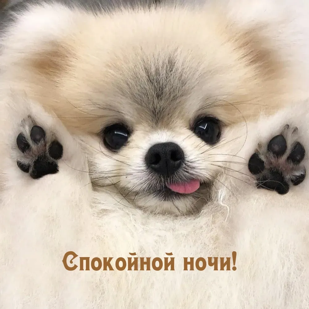 Самый простой способ поднять настроение 😋 Премьера сериала «Плакса» — завтра в 19:00 на СТС!.. | ВКонтакте Самый простой способ поднять настроение 😋 Премьера сериала «Плакса» — завтра в 19:00 на СТС!.. | ВКонтакте