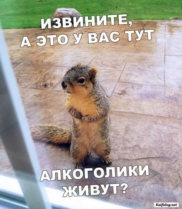 Открытки для поднятия настроения (262 шт.) Открытки для поднятия настроения (262 шт.)