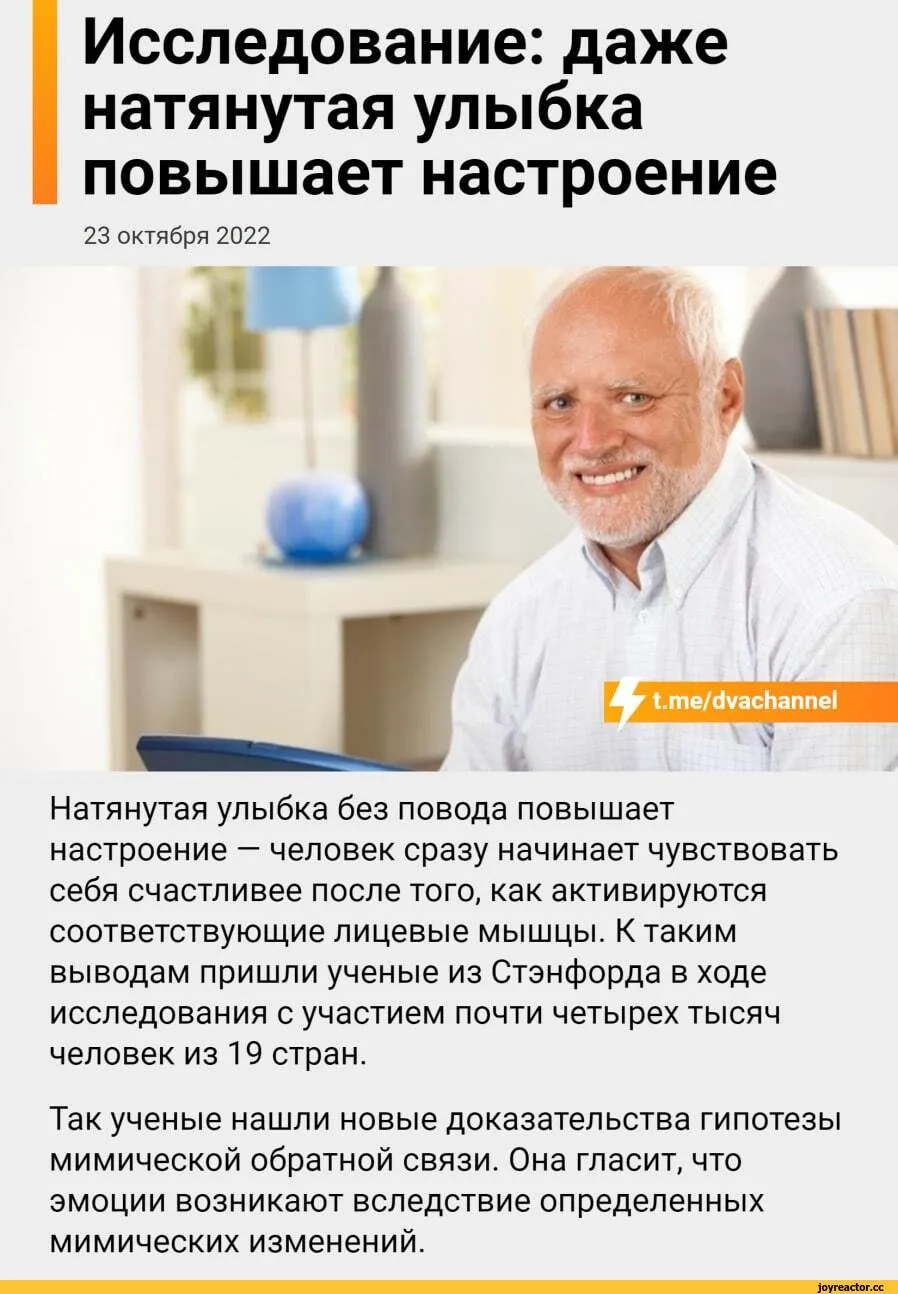 Просто мясо\" фотки и видео, повышающие настроение на уровень повыше | На грани | Дзен Просто мясо\" фотки и видео, повышающие настроение на уровень повыше | На грани | Дзен