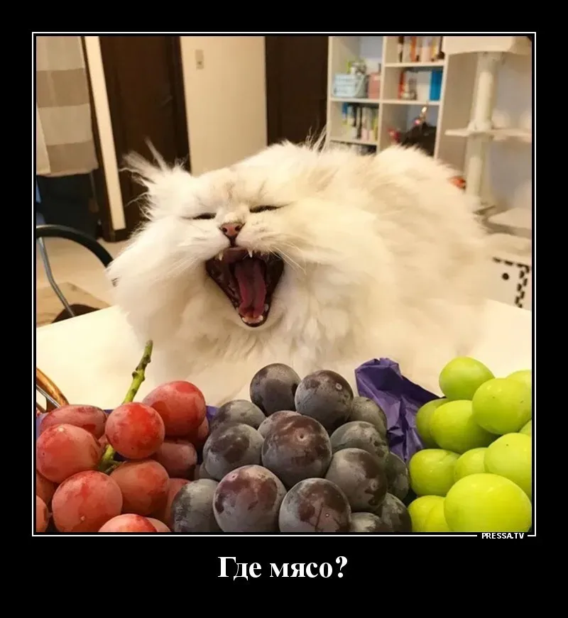 Как поднять настроение?» — создано в Шедевруме Как поднять настроение?» — создано в Шедевруме