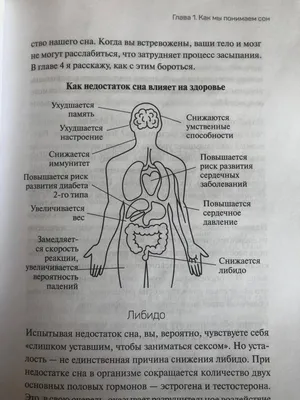 I Исследование: даже натянутая улыбка повышает настроение 23 октября 2022  Натянутая улыбка без повода повышает настроение — человек сразу начинает  чувствовать себя счастливее после того, как активируются соответствующие  лицевые мышцы. К таким