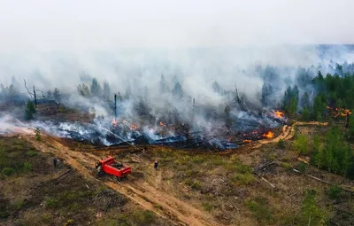 Лесные пожары в Рязанской области