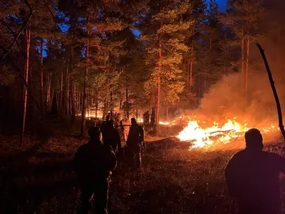 Вольск заволокло дымом от лесного пожара — Регион 64