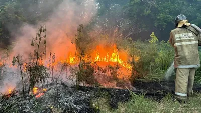 Там ад, огонь вовсю». Пожар, унёсший жизни 14 человек, и обвинения в  халатности