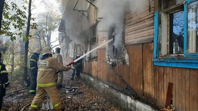 Пожарные остановили распространение лесного пожара в Абайской области |  Kazakhstan Today