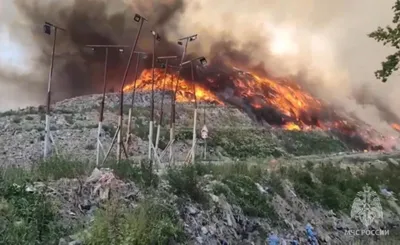 Пожар в Зимнем дворце — Википедия