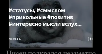 Умение во всем видеть позитив. Но не смысл | Пикабу