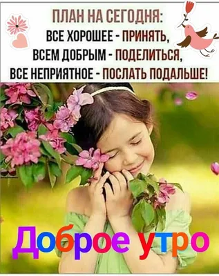 Позитив! | Вдохновляющие фразы, Утренние сообщения, Счастливые картинки