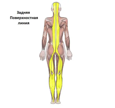 Позы для портретной фотосессии: лучшие идеи для женщин и мужчин