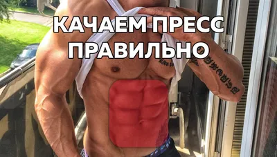 Anatomy Of Male Груди И Пресса — стоковые фотографии и другие картинки  Брюшной пресс - Брюшной пресс, Анатомия, Мужчины - iStock