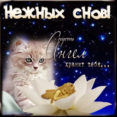 Спокойной ночки! 🌝💫⭐Приятных сновидений! ❤🥰😘#рекомендации #спокойн... |  TikTok