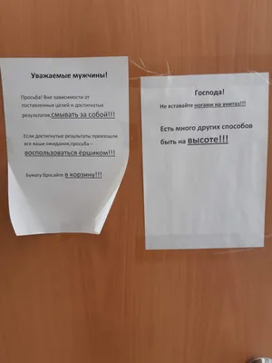 Ответ на пост «Женские туалеты в офисе. Вопрос к милым дамам» | Пикабу