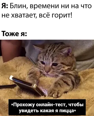 бухгалтерский_юмор #просто_так #прикол #8марта #9марта #Главбух #яглавбух |  Открытки, Праздник, Картинки