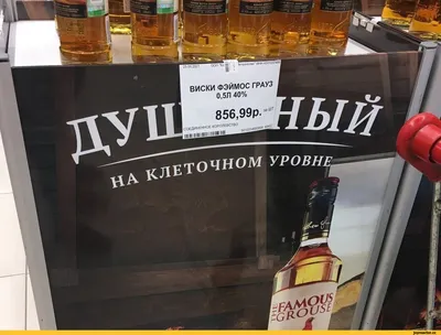 Шутки и мемы