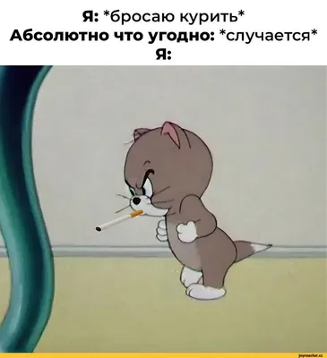 Я: *бросаю курить* Абсолютно что угодно: *случается* Я: / смешные картинки  (фото приколы) :: картинка с текстом :: курение :: приколы для даунов /  смешные картинки и другие приколы: комиксы, гиф анимация, видео, лучший  интеллектуальный юмор.