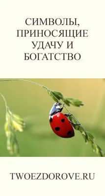 Рыбка золотая с синим камнем, приносящая богатство в дом. Оберег – заказать  на Ярмарке Мастеров – 7PD7RBY | Картины, Москва