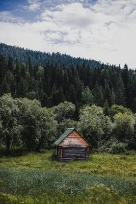 In Search of the Way: Secrets of the Ideal Trips of the Finalists of the  Contest \"Territory of Nature\" | Russian Geographical Society