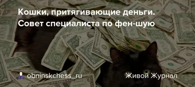 15 комнатных растений, которые привлекают деньги в дом, счастье и удачу