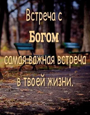 Свершилось | True words, Quotations, Words