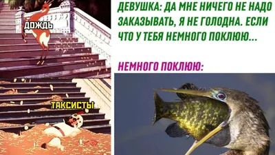 Детская и юношеская книга Когда идет дождь веселые  истории,стихи,песенки,загадки,скоро