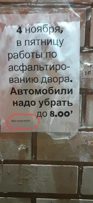 Крупнокалиберный дождь, и зайцы сидящие, сложа руки: самые смешные ляпы в  сочинениях студентов Ижевска - KP.RU