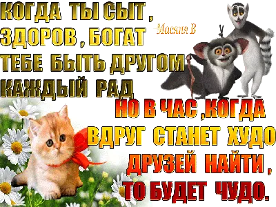 Статусы про дружбу и друзей для социальных сетей: более 50 высказываний