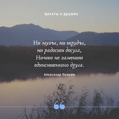 Цитати про дружбу: що ми знаємо про справжніх і фальшивих друзів | Couple  photos, Couples, Photo