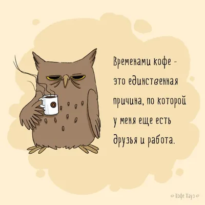 кофе #сова #утро #morning #coffee #owl | Цитаты о кофе, Смешные рисунки, Смешной  кофе