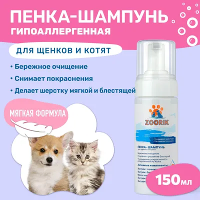 Картина по номерам \"Котенок и щенок\"