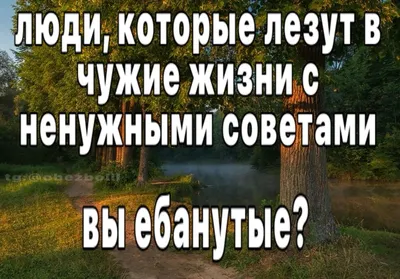 Почему люди лезут в чужую жизнь с советами, когда их не просят? - Восточная  мудрость | Мудрость жизни | Дзен