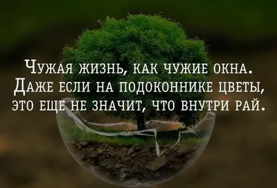 Почему люди лезут в чужую жизнь с советами, когда их не просят? - Восточная  мудрость | Мудрость жизни | Дзен