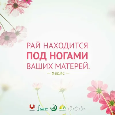 рек #подпишись🙏 #Мусульманка #Ислам #Мусульмани #цытаты #душевно #Ма... |  TikTok