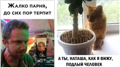 Пикабу - У Наташи настали тяжелые времена #наташа #кот #коты | Facebook