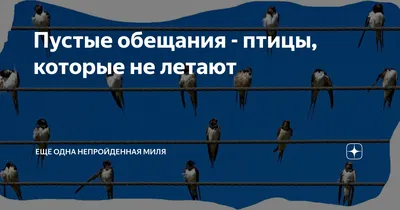 Пустые обещания | Пикабу